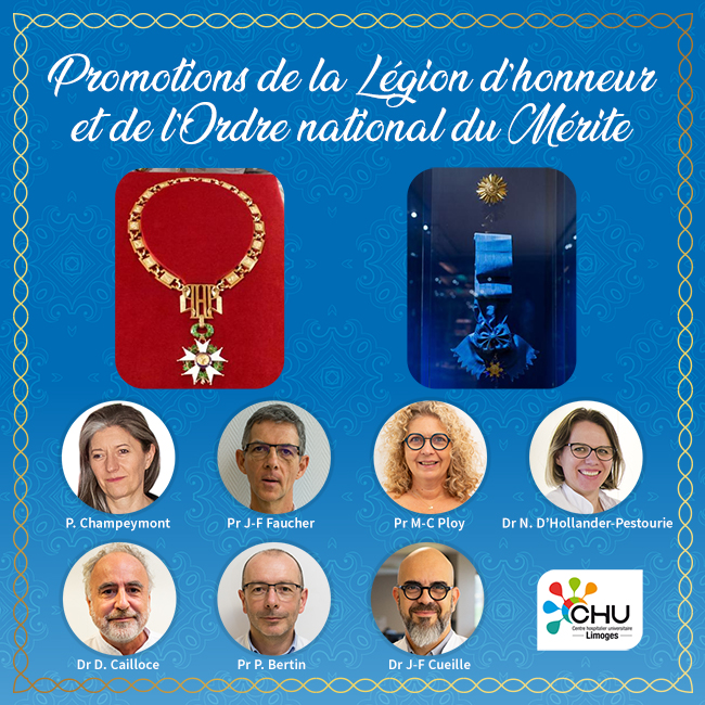 Promotions de la Légion d'honneur et de l'ordre national du Mérite : un hommage aux Français investis dans la crise sanitaire