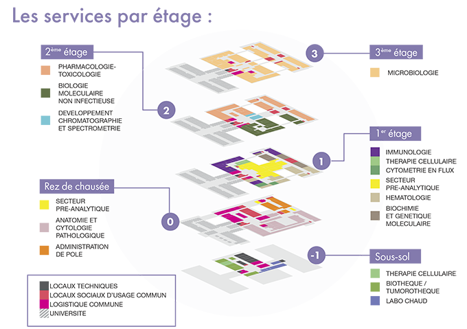 Les services par étage - CBRS