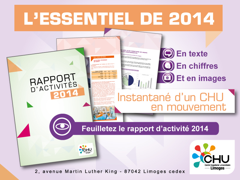 comment faire un rapport d activité exemple